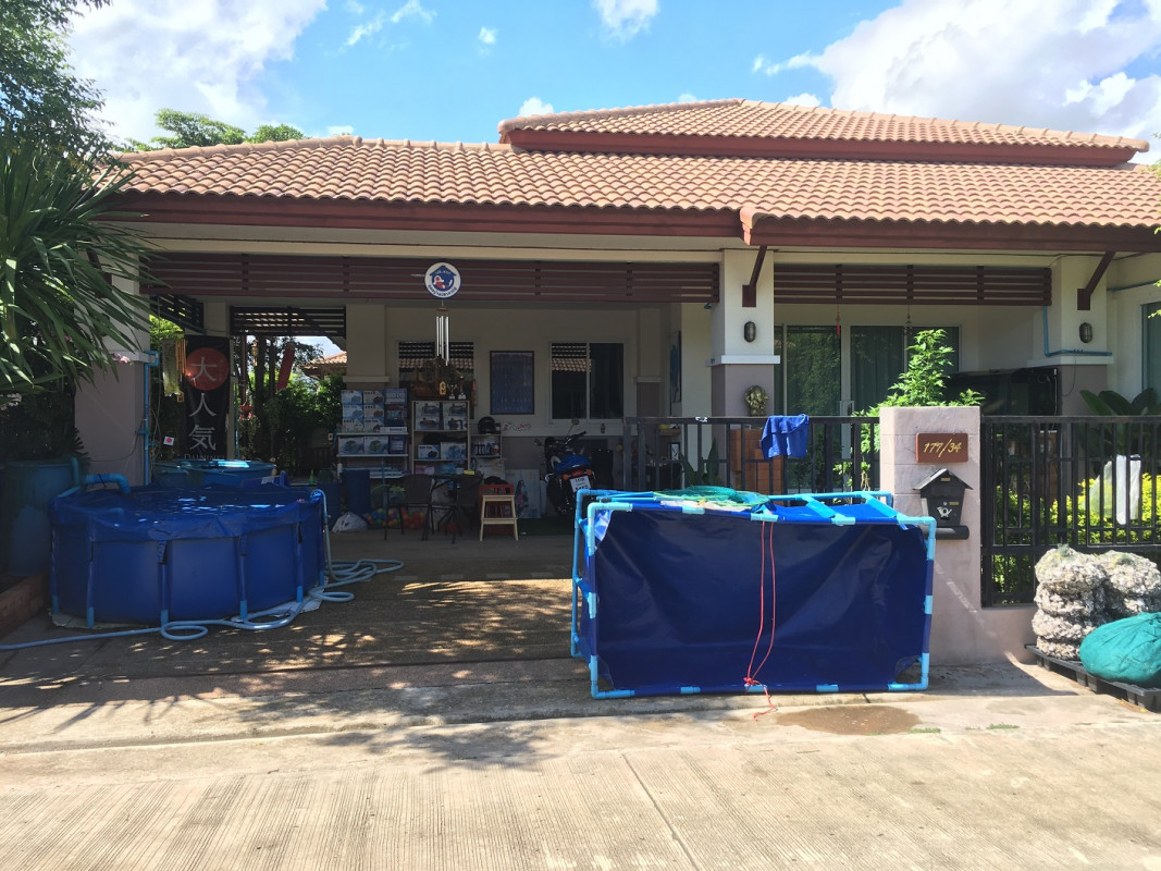 บ้านเดี่ยว อุดรธานี เมืองอุดรธานี นาดี 3575000