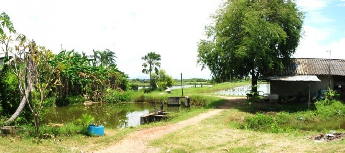 บ้านเดี่ยว บ้านเดี่ยว จันทบุรี จันทบุรี แหลมสิงห์ บางกะไชย 8722000
