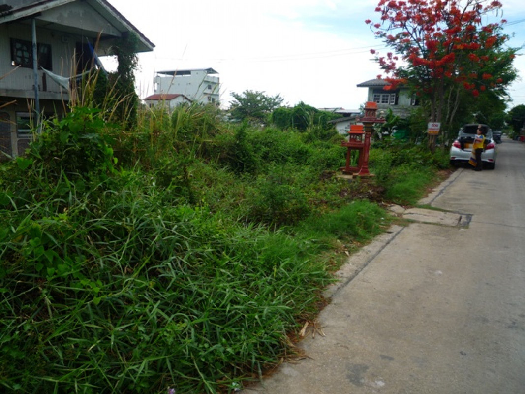 บ้านเดี่ยว ปทุมธานี ธัญบุรี ประชาธิปัตย์ 1192000