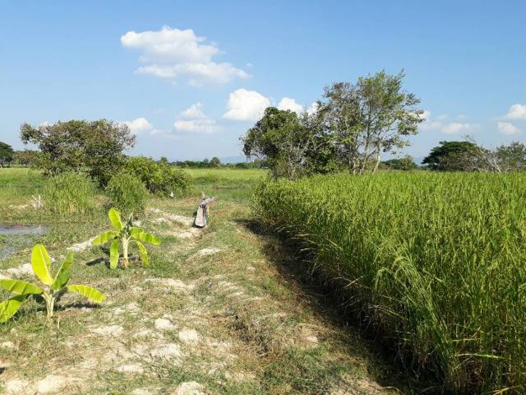 ที่ดินเปล่า ลำปาง เมืองลำปาง ปงแสนทอง 3556000
