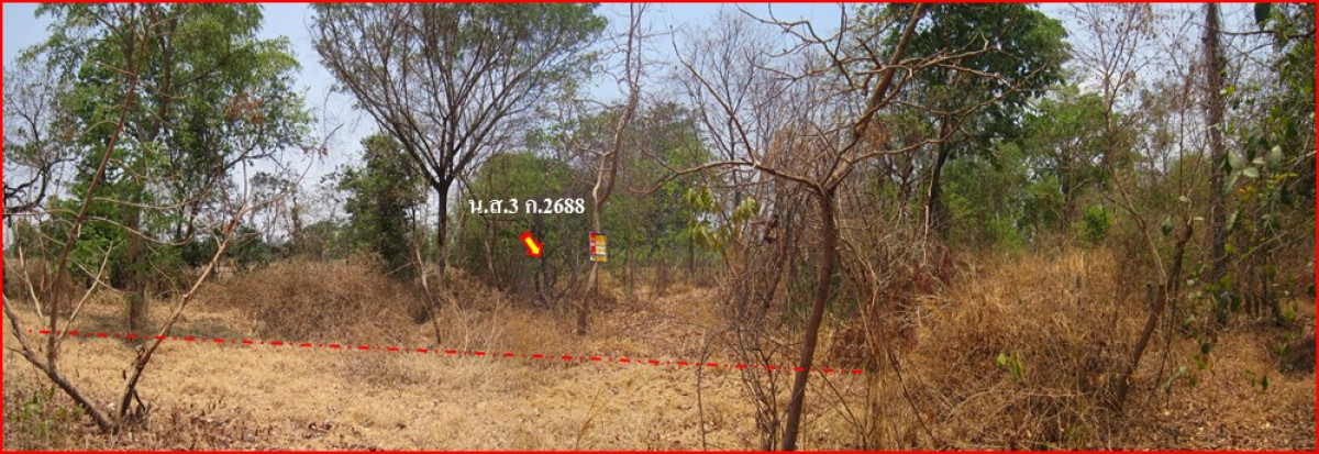ที่ดินเปล่า นครราชสีมา เมืองนครราชสีมา พุดซา 262000