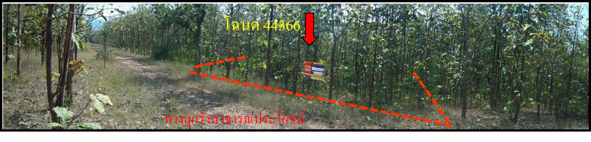 Residential land/lot Phetchabun Lom Sak Chang Talut 158000