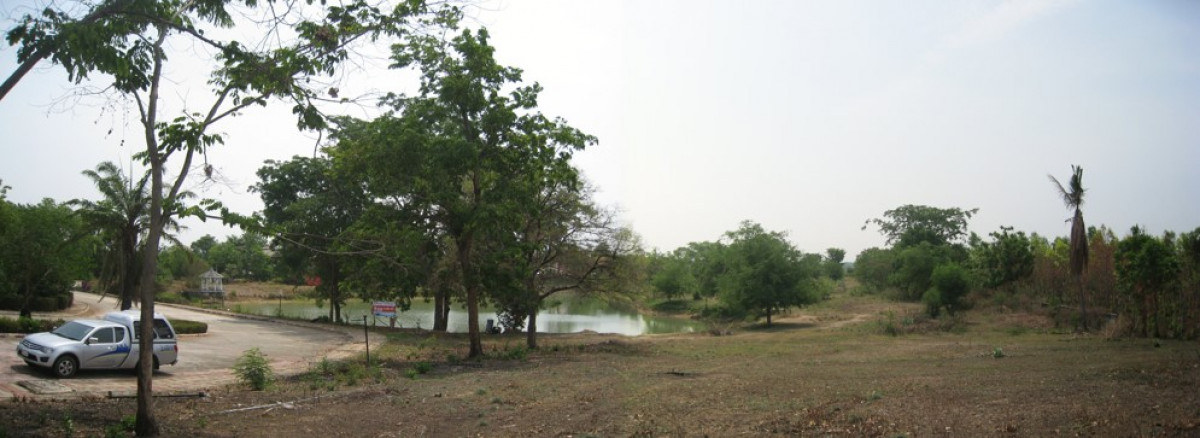 Residential land/lot Nakhon Ratchasima Chok Chai Tha Ang 430000