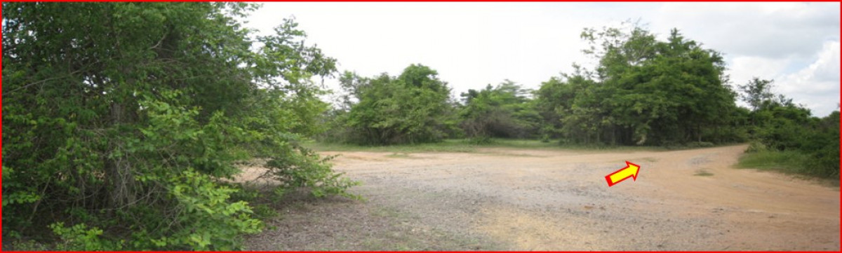 Residential land/lot Nakhon Ratchasima Pak Thong Chai Mueang Pak 105000