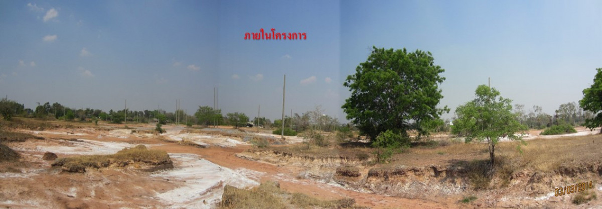 ที่ดินเปล่า นครราชสีมา โนนไทย โนนไทย 111000