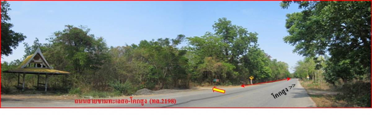 ที่ดินเปล่า นครราชสีมา ขามทะเลสอ ขามทะเลสอ 319000