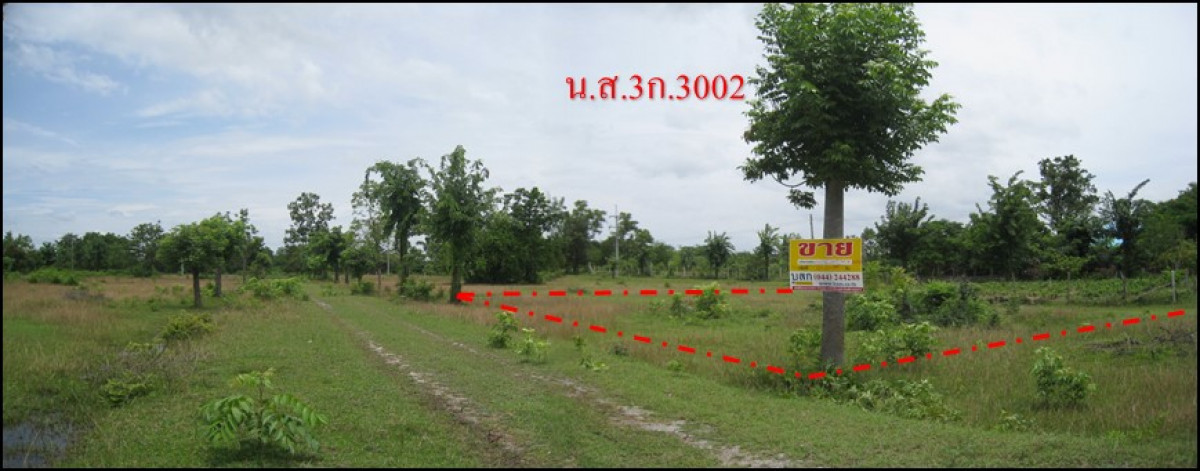 ที่ดินเปล่า นครราชสีมา โชคชัย ทุ่งอรุณ 156000