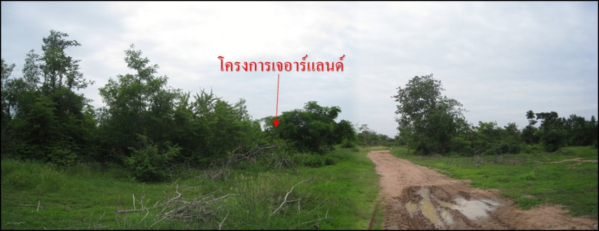 Residential land/lot Nakhon Ratchasima Chok Chai Chok Chai 184000