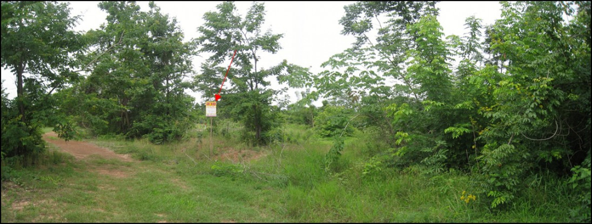 Residential land/lot Nakhon Ratchasima Chok Chai Chok Chai 184000