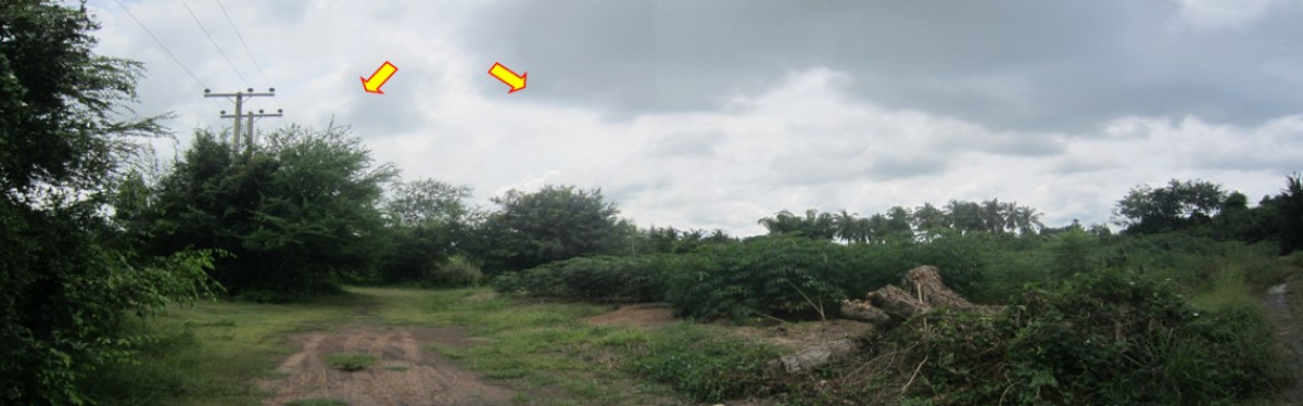 Residential land/lot Buri Ram Lahan Sai Lahan Sai 252000