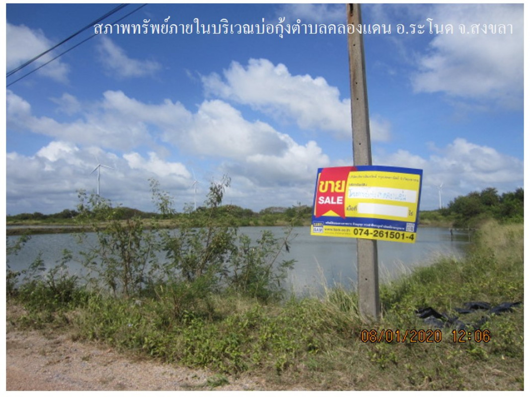 ที่ดินเปล่า สงขลา ระโนด คลองแดน 293000