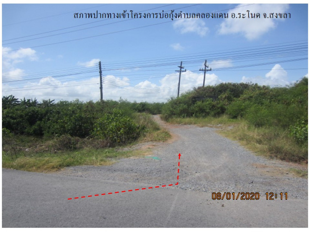 ที่ดินเปล่า สงขลา ระโนด คลองแดน 293000