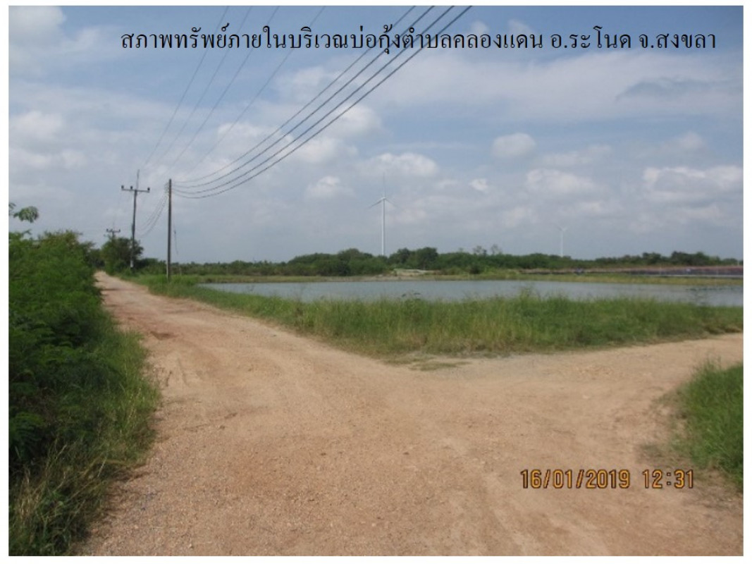 ที่ดินเปล่า สงขลา ระโนด คลองแดน 293000