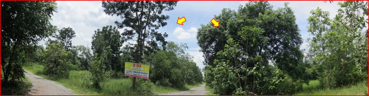 ที่ดินเปล่า โครงการชิตเจริญแลนด์ นครราชสีมา ปักธงชัย ตะคุ 105000