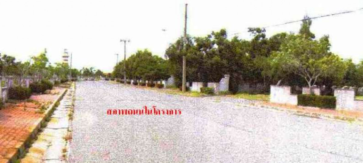 ที่ดินเปล่า ฉะเชิงเทรา บางปะกง บางปะกง 8232000