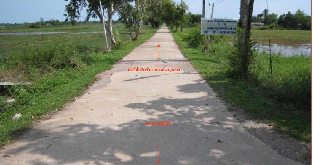 Residential land/lot Rayong Klaeng Thang Kwian 8400000