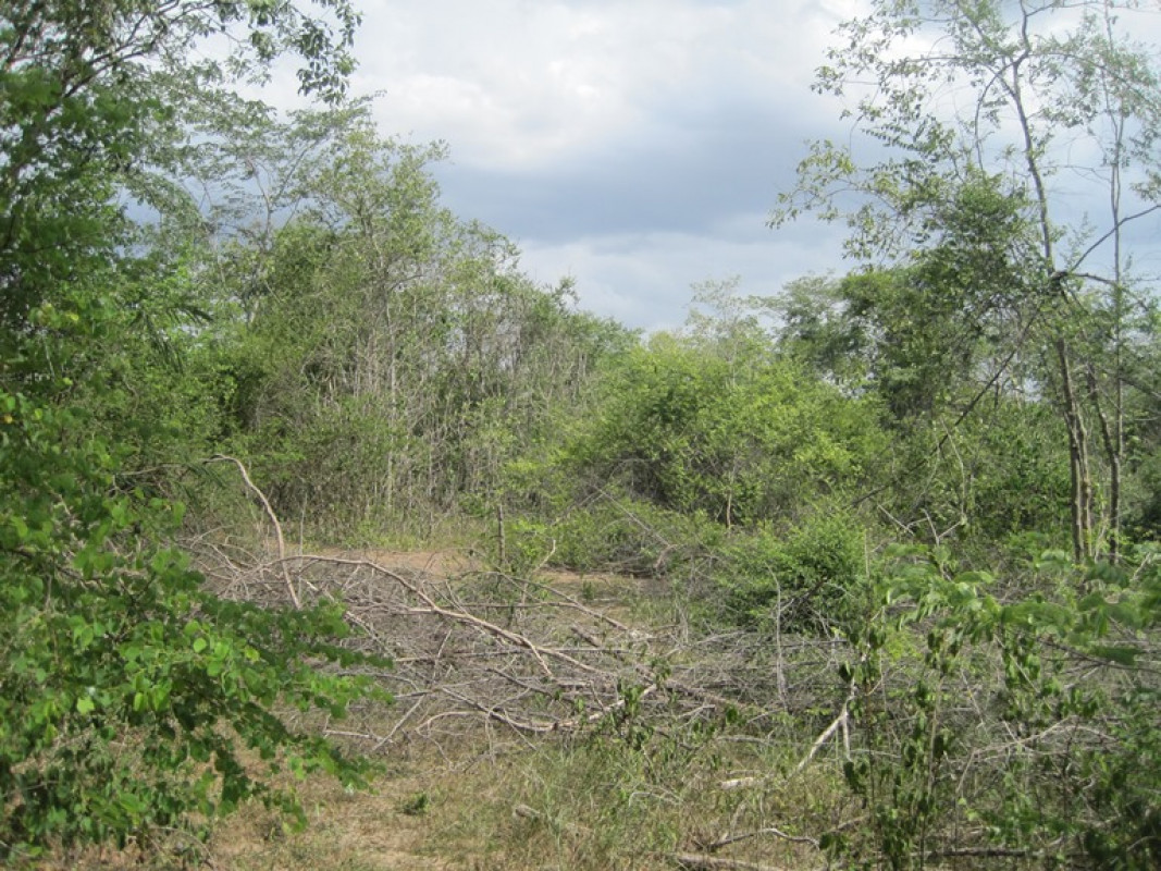 Residential land/lot Lampang Ko Kha Sala 353000