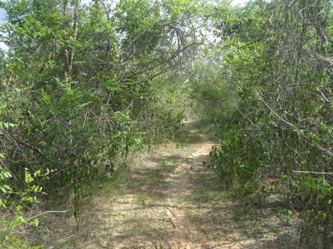 Residential land/lot Lampang Ko Kha Sala 353000