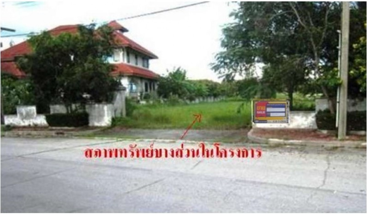 ที่ดินเปล่า ฉะเชิงเทรา บางปะกง บางปะกง 7712000