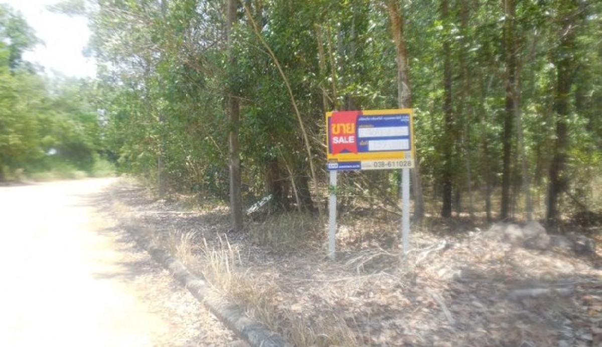ที่ดินเปล่า ที่ดินเปล่า ระยอง แกลง บ้านนา 465000