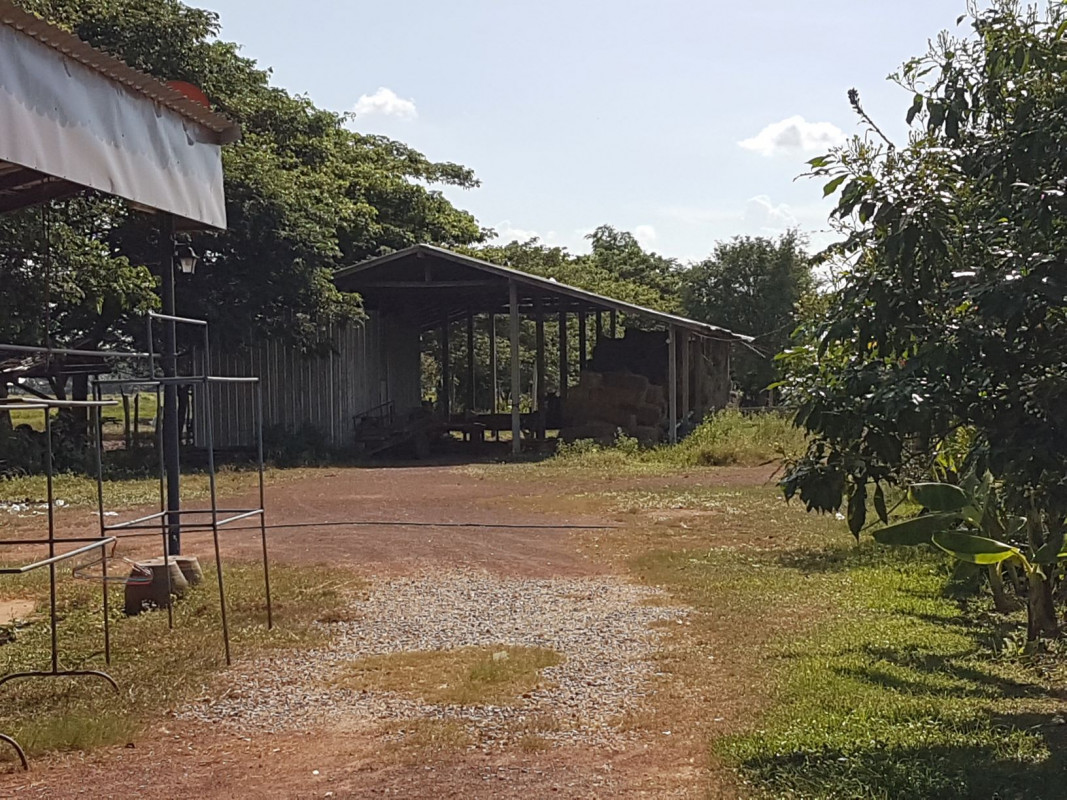 บ้านเดี่ยว อุดรธานี เมืองอุดรธานี เชียงยืน 2489000
