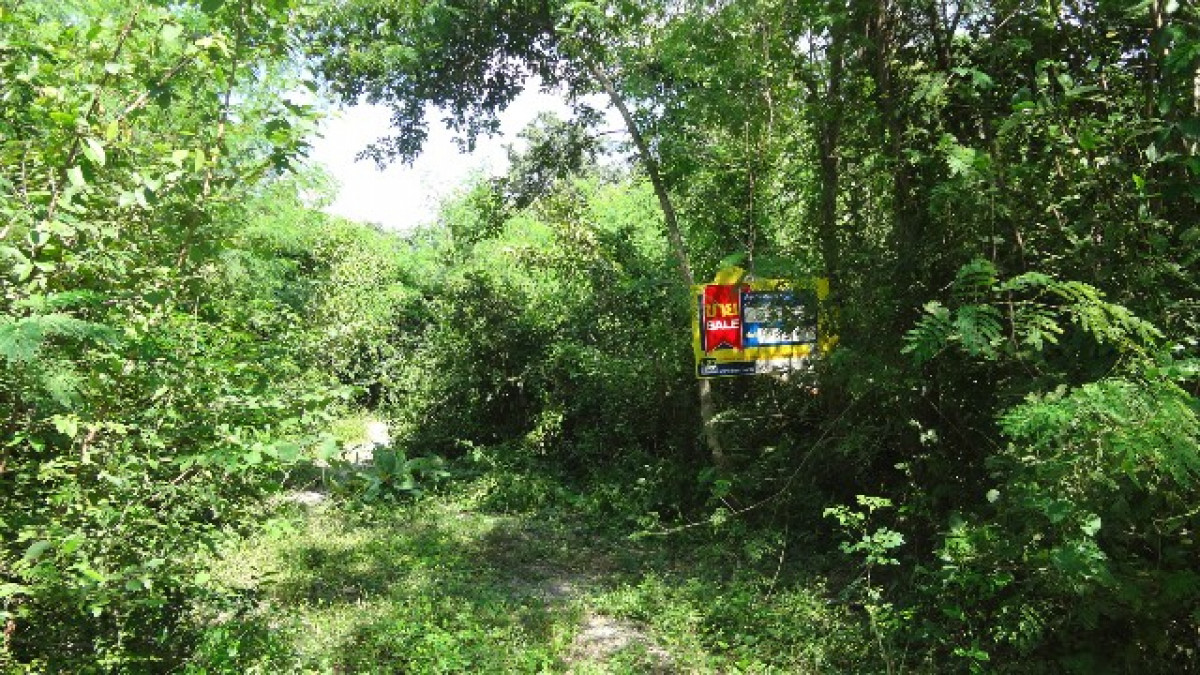 Residential land/lot Lampang Ko Kha Sala 279000