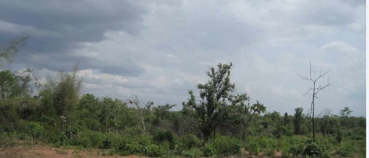 Residential land/lot Lampang Ko Kha Sala 279000