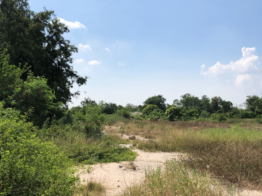 ที่ดินเปล่า ชลบุรี พานทอง มาบโป่ง 22088000