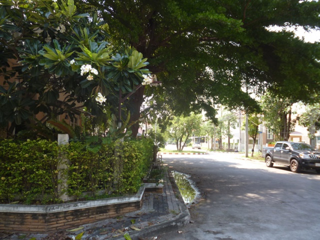 Single house Samut Prakan Mueang Samut Prakan Phraekkasa Mai 3675000
