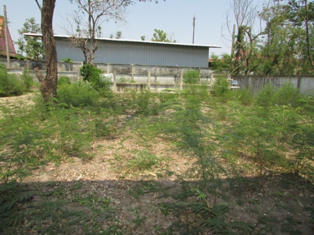 บ้านเดี่ยว กรุงเทพมหานคร หนองจอก ลำผักชี 2350000