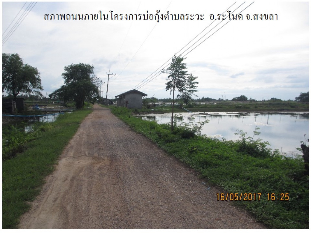 ที่ดินเปล่า สงขลา ระโนด ระวะ 609000