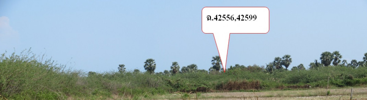 ที่ดินเปล่า เพชรบุรี ท่ายาง ปึกเตียน 117000