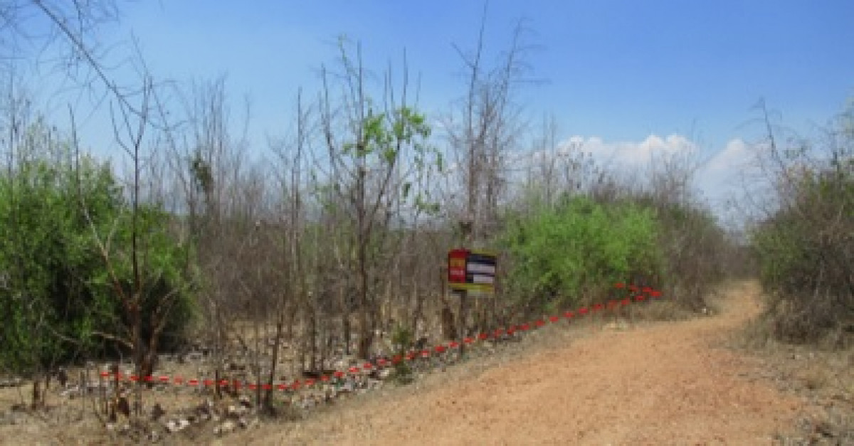 ที่ดินเปล่า ลำพูน บ้านโฮ่ง ศรีเตี้ย 386000