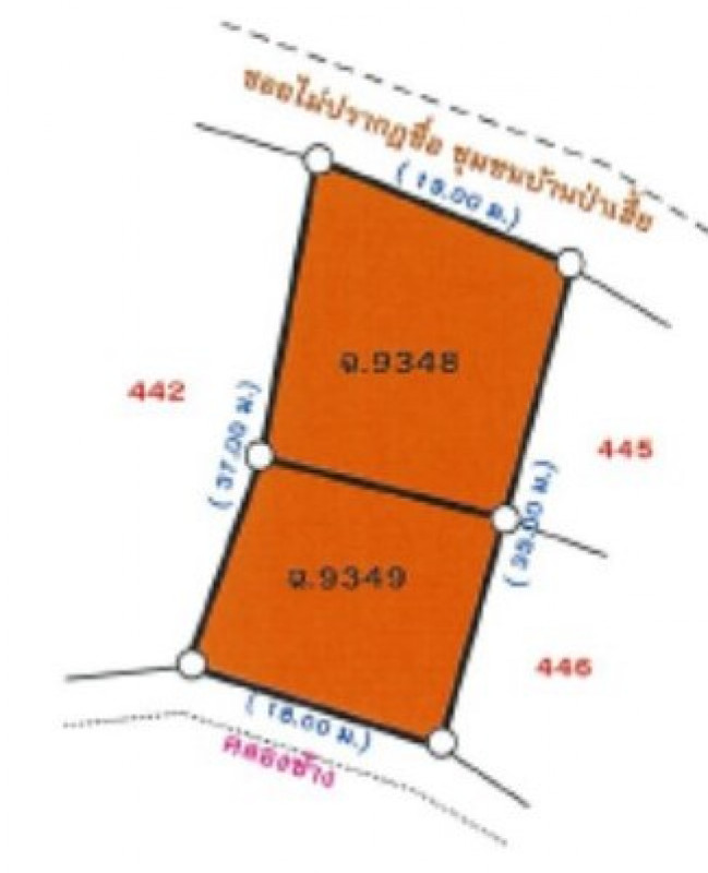 บ้านเดี่ยว พะเยา ดอกคำใต้ คือเวียง 1372000