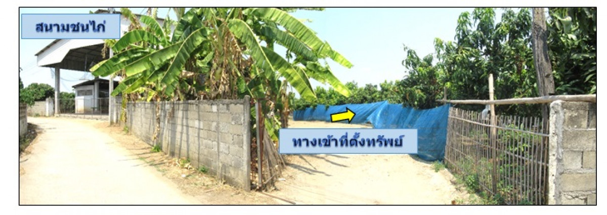 ที่ดินเปล่า ลำพูน เวียงหนองล่อง วังผาง 459000
