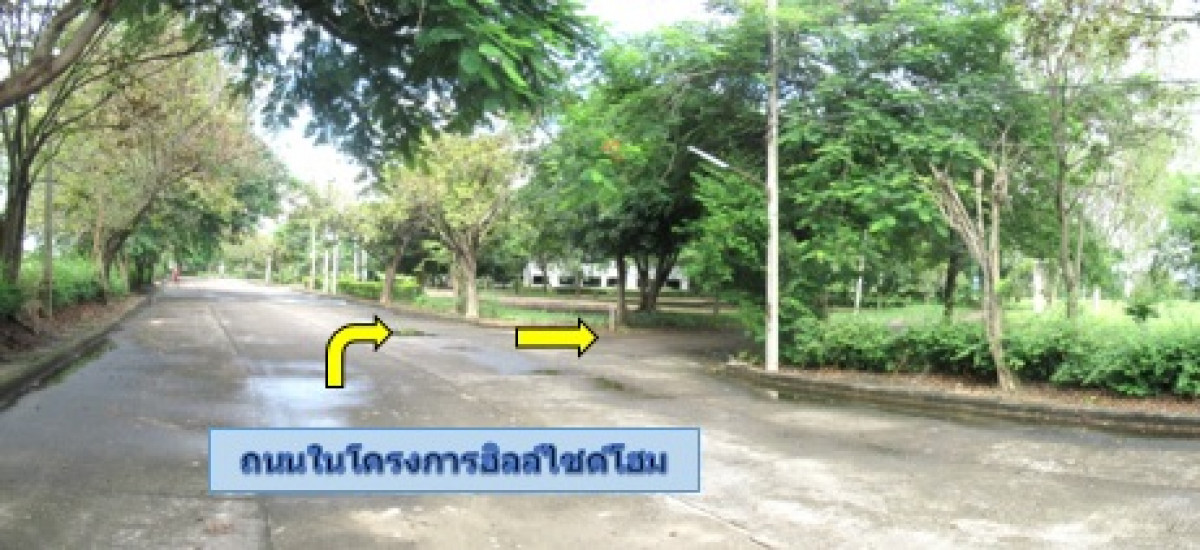 ที่ดินเปล่า ลำพูน เมืองลำพูน เหมืองง่า 526000