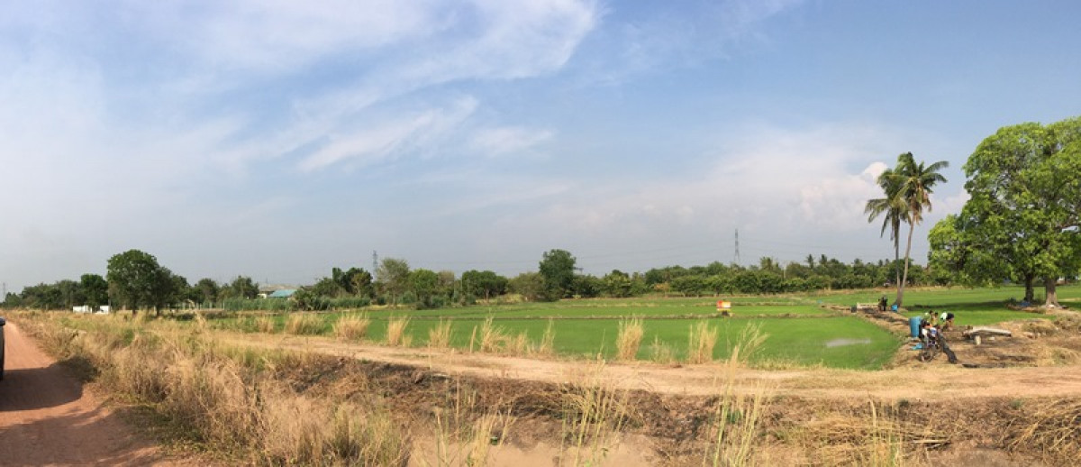 Residential land/lot Phitsanulok Mueang Phitsanulok Don Thong 7605000
