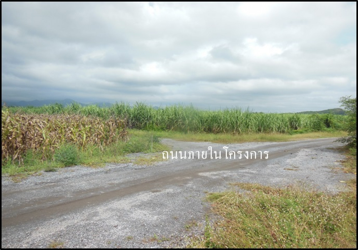 ที่ดินเปล่า ลพบุรี ชัยบาดาล ชัยบาดาล 191000