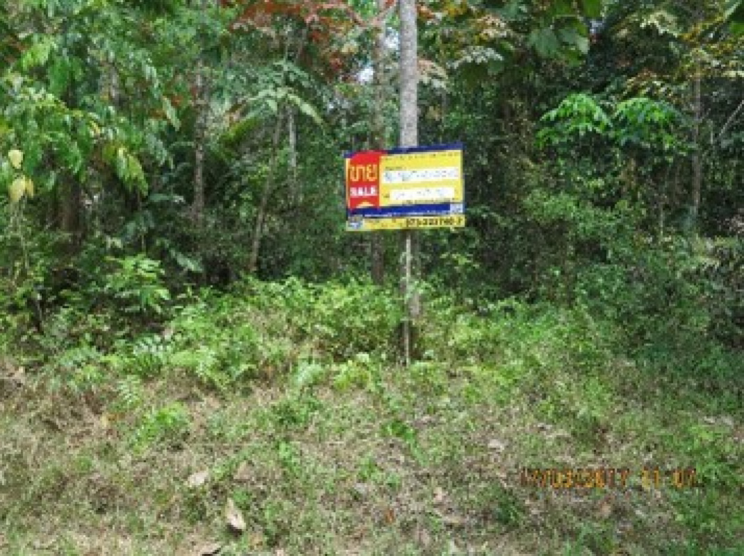 ที่ดินเปล่า นราธิวาส สุไหงปาดี กาวะ 179000