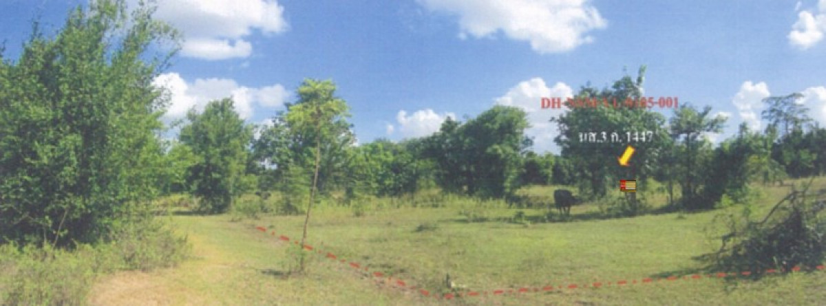 ที่ดินเปล่า นครราชสีมา ปักธงชัย เมืองปัก 105000
