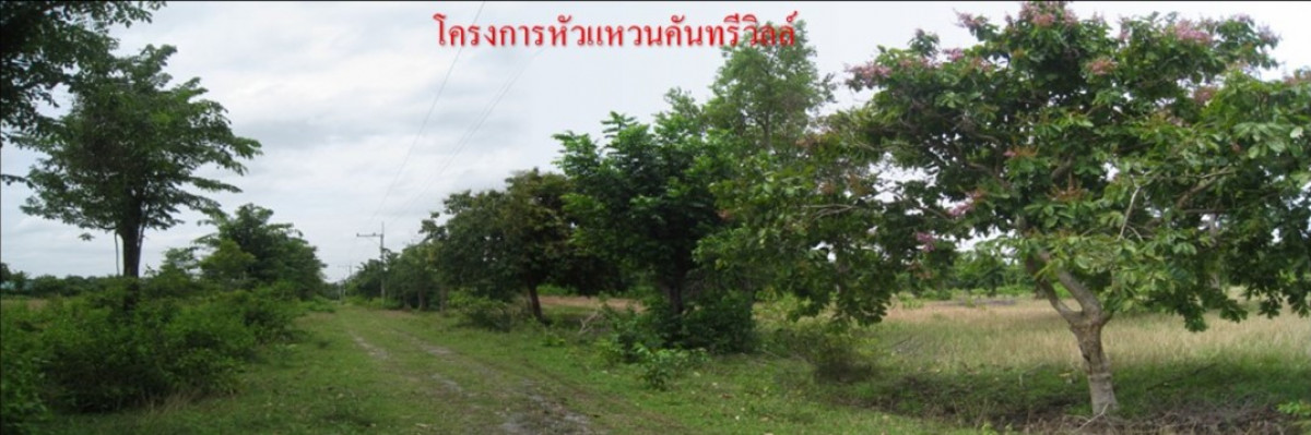 ที่ดินเปล่า นครราชสีมา โชคชัย ทุ่งอรุณ 231000
