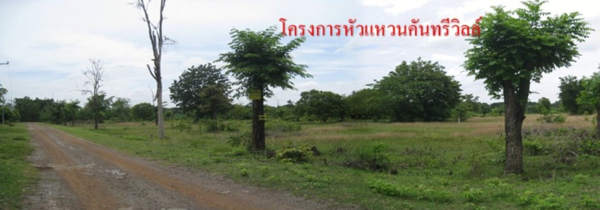 ที่ดินเปล่า นครราชสีมา โชคชัย ทุ่งอรุณ 231000