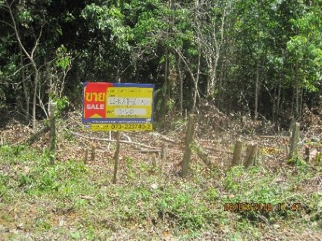 ที่ดินเปล่า นราธิวาส สุไหงปาดี กาวะ 145000