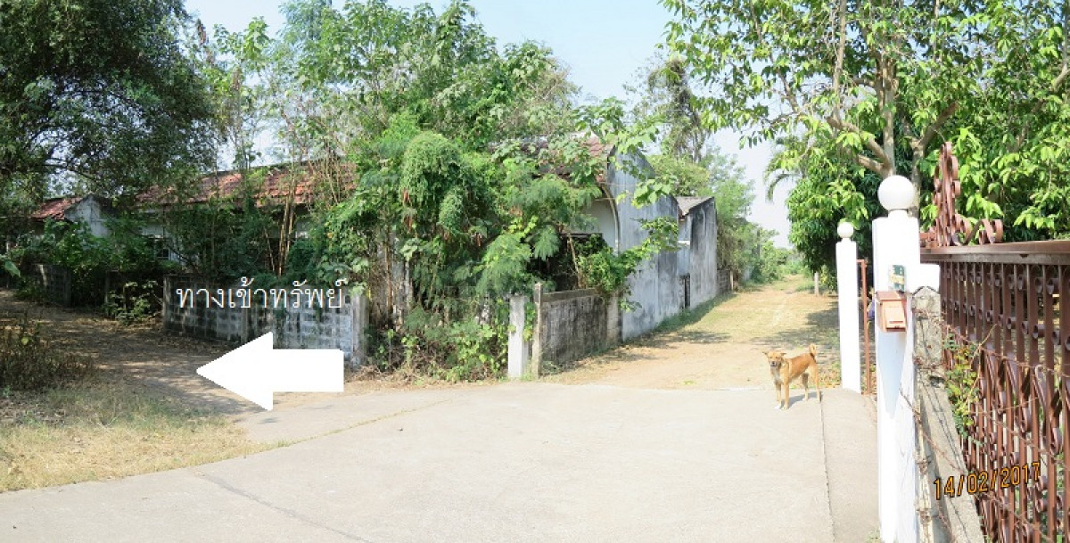ทาวน์เฮ้าส์ สระบุรี แก่งคอย ทับกวาง 268000