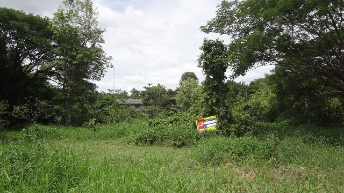 ที่ดินเปล่า ลำปาง เมืองลำปาง บ้านเสด็จ 257000