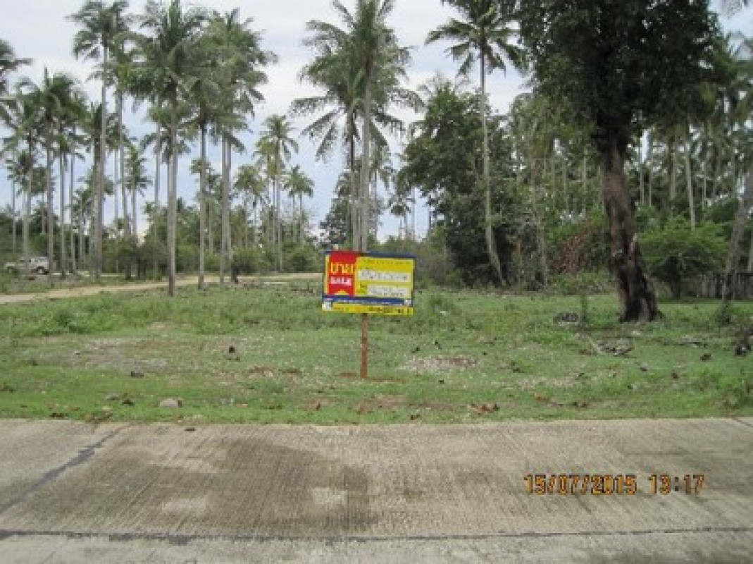 ที่ดินเปล่า นราธิวาส ตากใบ ไพรวัน 150000