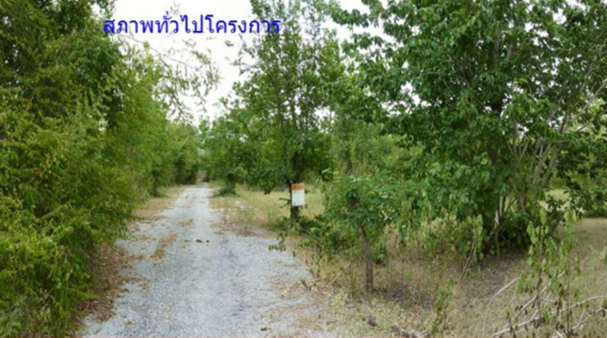 ที่ดินเปล่า นครราชสีมา ปักธงชัย ธงชัยเหนือ 105000