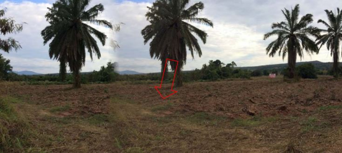 Residential land/lot Phitsanulok Wang Thong Kaeng Sopha 1353000