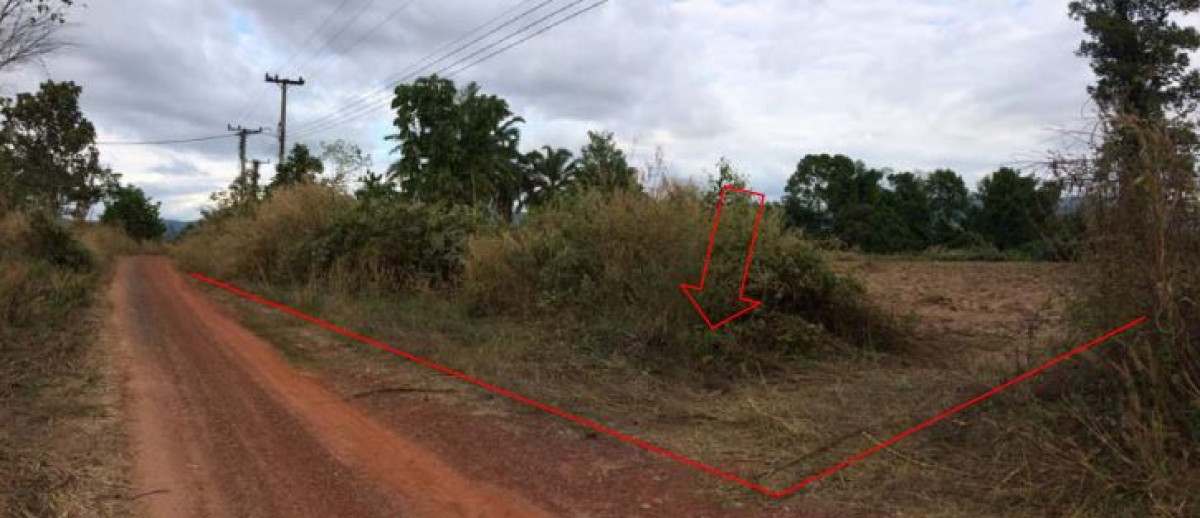 Residential land/lot Phitsanulok Wang Thong Kaeng Sopha 1353000