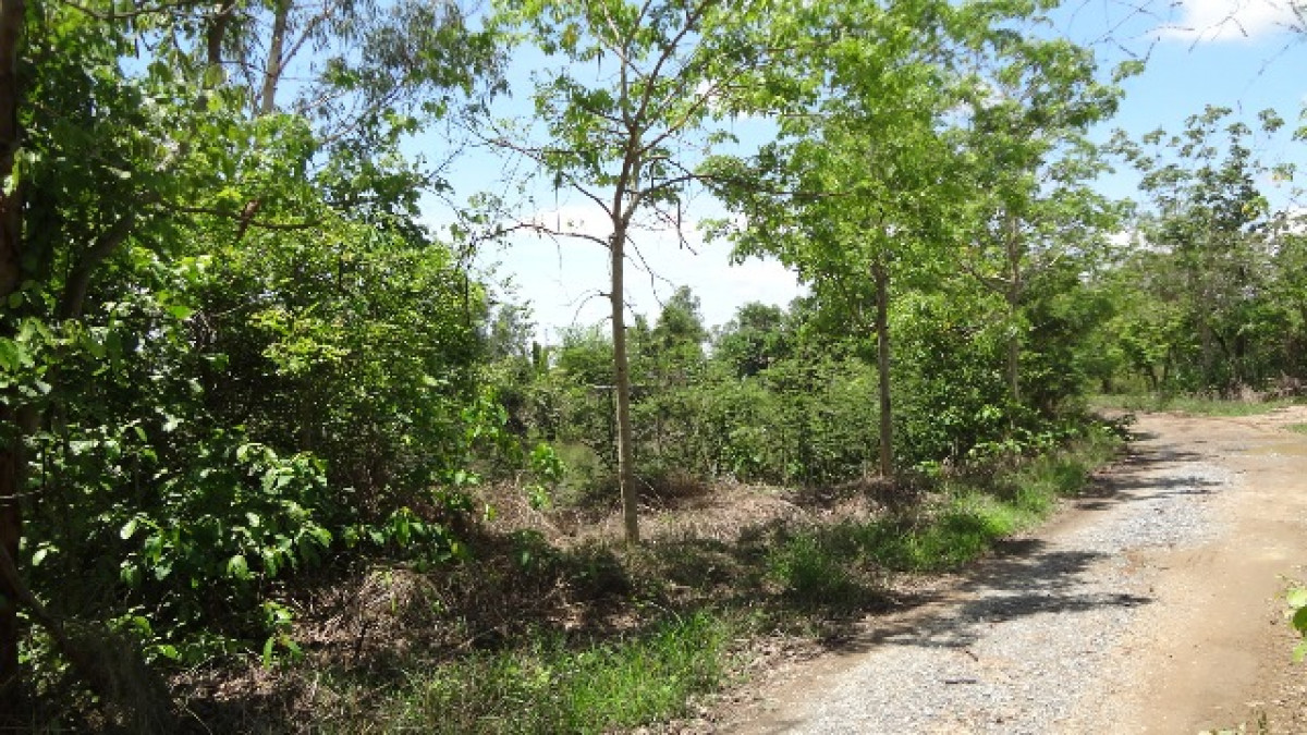 ที่ดินเปล่า ลำพูน บ้านธิ บ้านธิ 1886000
